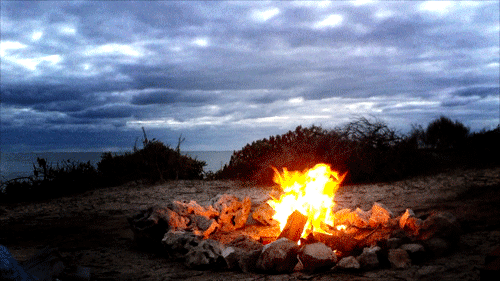 Burn, Baby, Burn: How to Build a Campfire