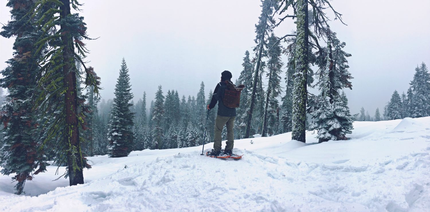 Snow-shoeing Radar Creative